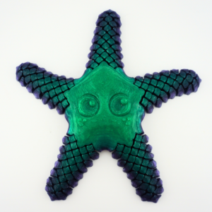 Sandy the Sea Star